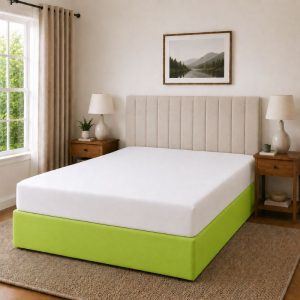 279484 lime (6).jpg
